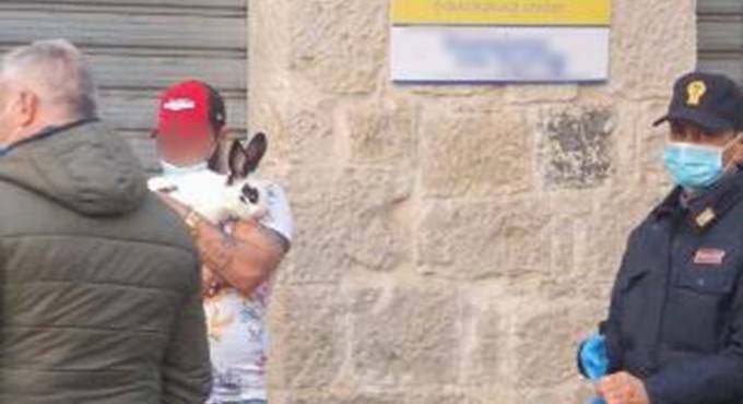 Fondi, esce di casa violando il decreto per portare a spasso un coniglio: multato