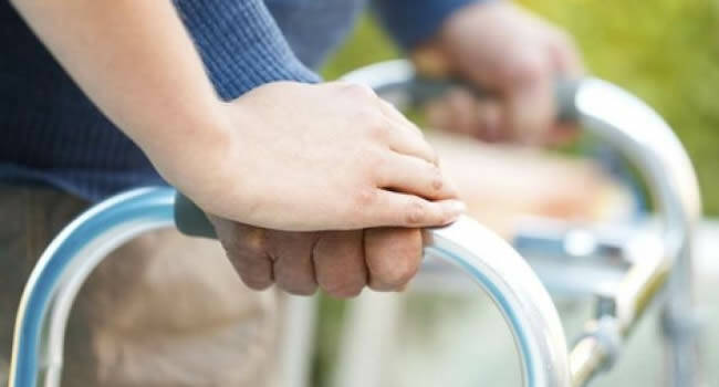 Referendum, il Comune di Ladispoli organizza un trasporto gratuito per disabili
