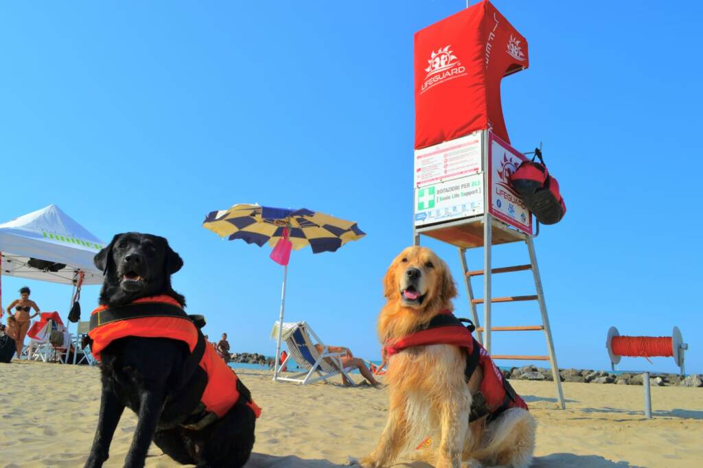 Stagione balneare 2020 al tempo di covid-19: “I nostri cani-bagnino sono pronti”