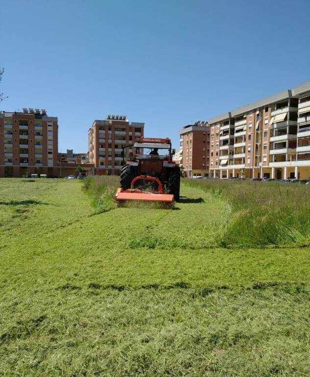 Latina, riprese le attività di manutenzione del verde pubblico