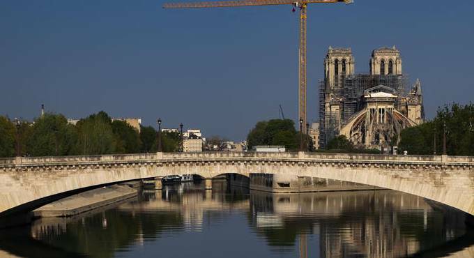 Mille alberi secolari per ricostruire Notre-Dame: selezionate le prime 8 querce