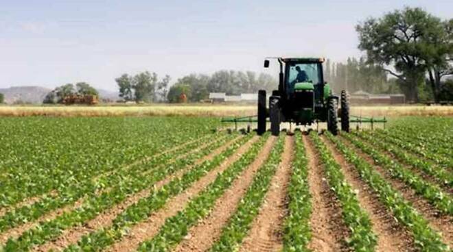 Agricoltura, Coldiretti Lazio: “Bene lo stanziamento per i giovani agricoltori”
