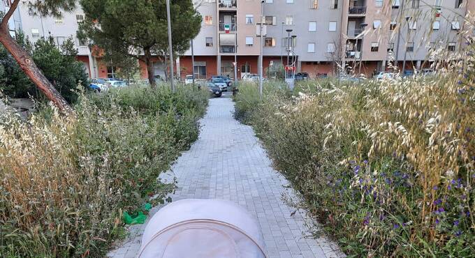 Aree verdi a Civitavecchia, il M5S denuncia: “Periferie nel degrado assoluto”