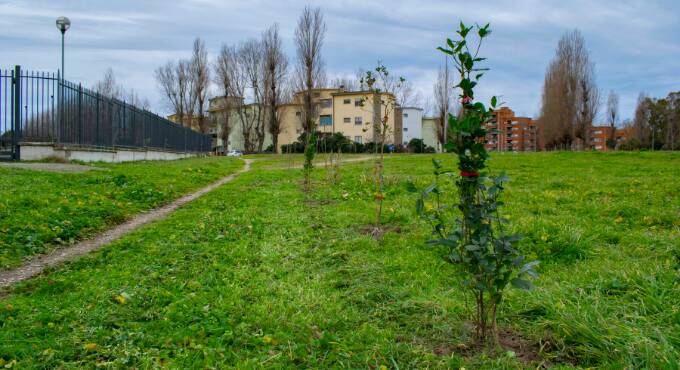 “Boschi E.On”: da Cerveteri a Latina piantati oltre 6.700 alberi sul litorale