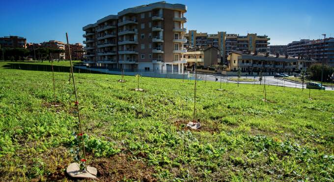 “Boschi E.On”: da Cerveteri a Latina piantati oltre 6.700 alberi sul litorale