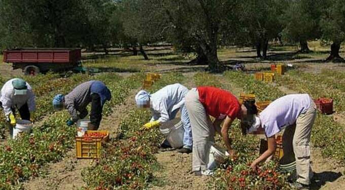 Regione Lazio, Demo.S: “Regolarizzare i migranti impegnati nel mondo del lavoro è un atto di giustizia sociale”