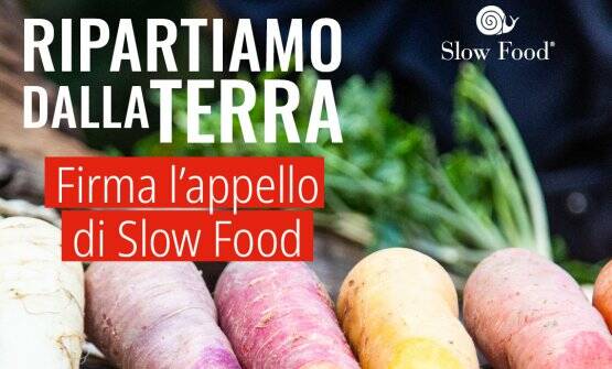 Ripartiamo dalla terra, Slow Food: “Premiare la filiera agroalimentare attenta alla salute dell’uomo e dell’ambiente”