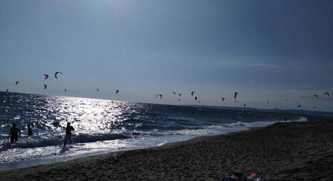 Pulci di Mare a Cerveteri: cosa sono e come difendersi