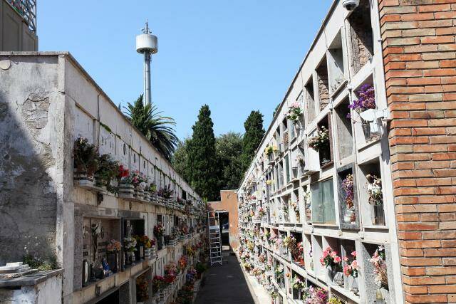 Latina, estumulazione di massa al cimitero: la denuncia di Codici