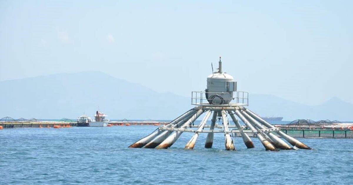 Impianti di itticoltura nel Golfo, Simeone presenta un’interrogazione in Regione
