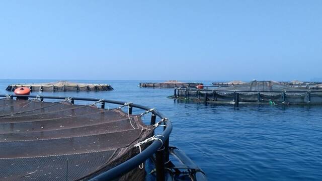 Impianti di itticoltura, Golfo di Gaeta
