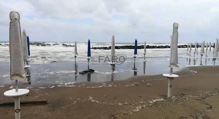 Fiumicino, mareggiata inghiotte la spiaggia. L’ira dei balneari: “Così moriamo”