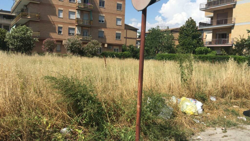 Latina, Marchiella: “Piazza Aldo Manuzio dimenticata tra rifiuti ed erbacce”