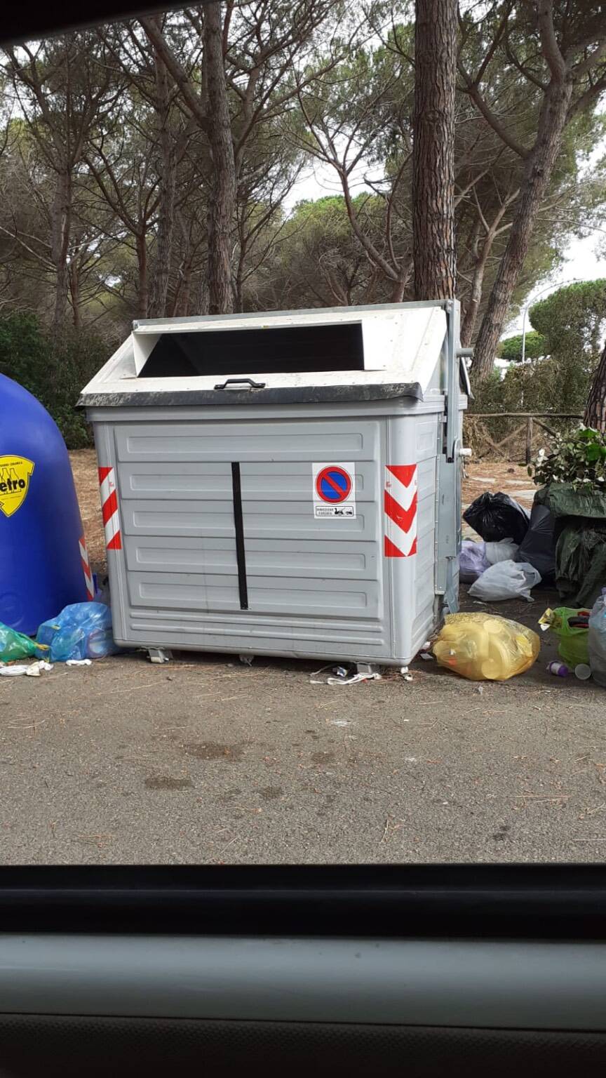 Montalto, Mazzoni sulla raccolta dei rifiuti: “Non è inciviltà, ma disorganizzazione”