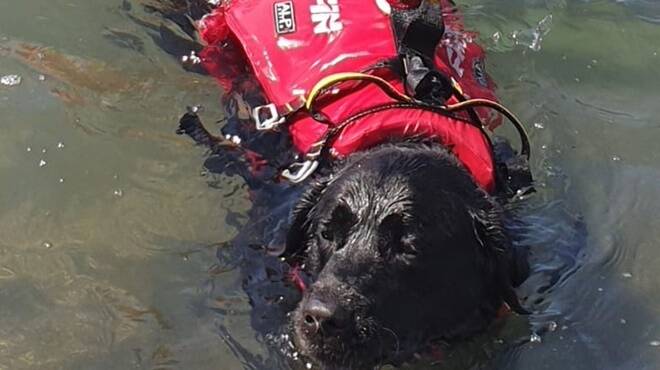 Paura a Fregene, 12enne rischia di annegare: salvato dal cane bagnino