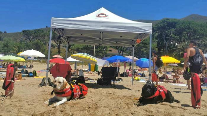 Estate 2020, il mare di Sperlonga è più sicuro: in spiaggia arrivano i cani bagnino