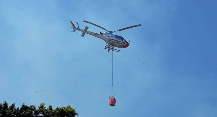 Incendio in area boschiva a Nettuno, interviene l’elicottero
