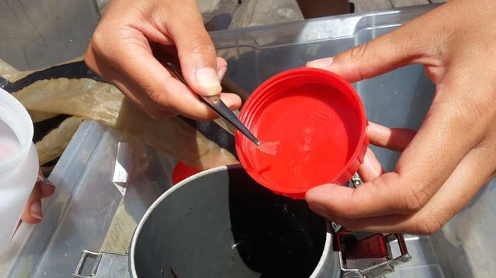 Alti livelli di microplastiche nei laghi di Fondi e Sabaudia, Legambiente: “Ecosistemi a rischio”