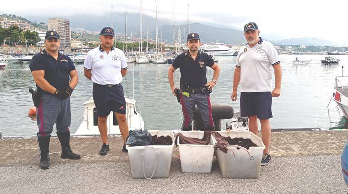 Pescatori di frodo pizzicati con 2500 ricci di mare in macchina: multati