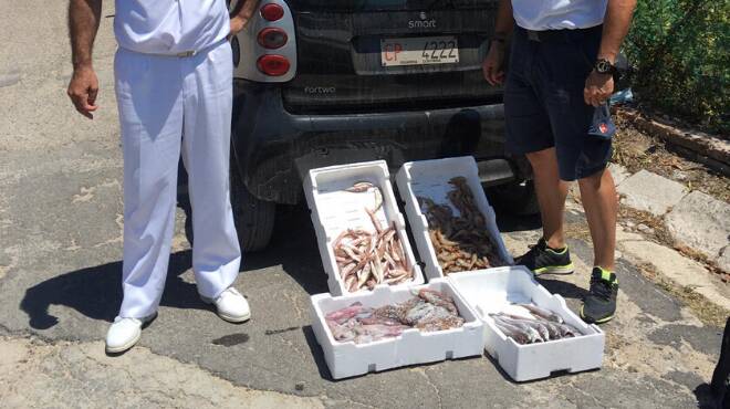 Minturno, vendevano pesce non tracciato in spiaggia: multati per 1500 euro