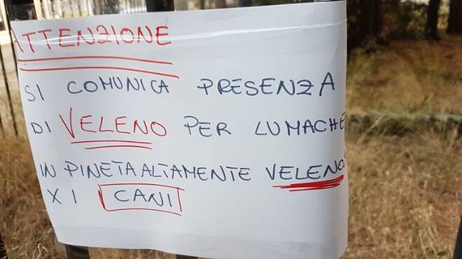 Fregene, cani avvelenati dal lumachicida: i consigli del veterinario