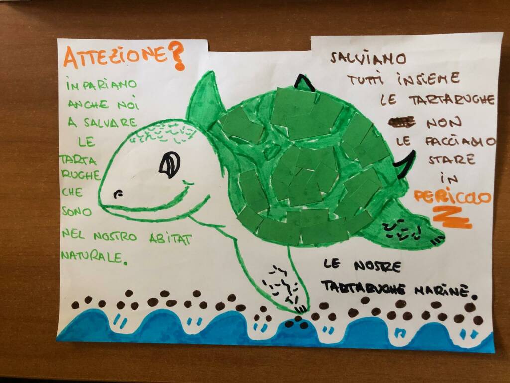 Tartaruga marina a Torvaianica: la schiusa delle uova tra il 13 al 19 agosto