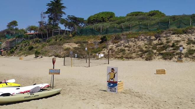 Tartaruga caretta depone oltre 100 uova sulla spiaggia di Fondi