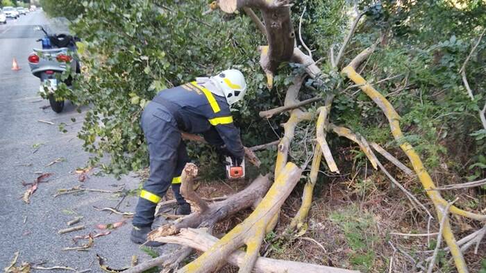 Fiumicino, albero cade su via Portuense: code e rallentamenti