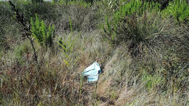 Dune di Passoscuro, Severini: “Abbandonate al degrado tra accampamenti abusivi e rifiuti”