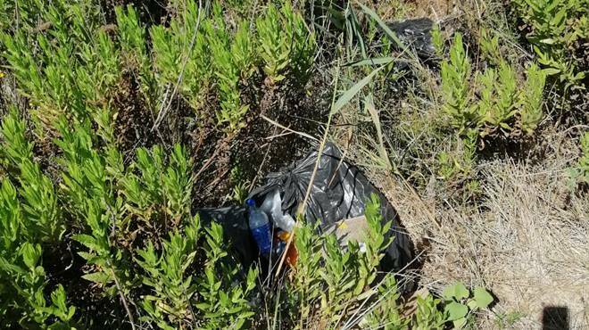 Dune di Passoscuro, Severini: “Abbandonate al degrado tra accampamenti abusivi e rifiuti”