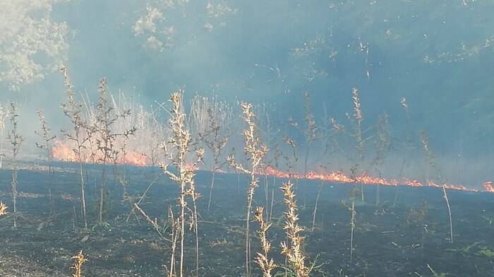 Ardea, ennesimo incendio in via Monti di Santa Lucia: in fiamme carcasse di auto