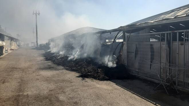 A fuoco un deposito di pneumatici fra Ardea e Pomezia, il fumo invade le strade
