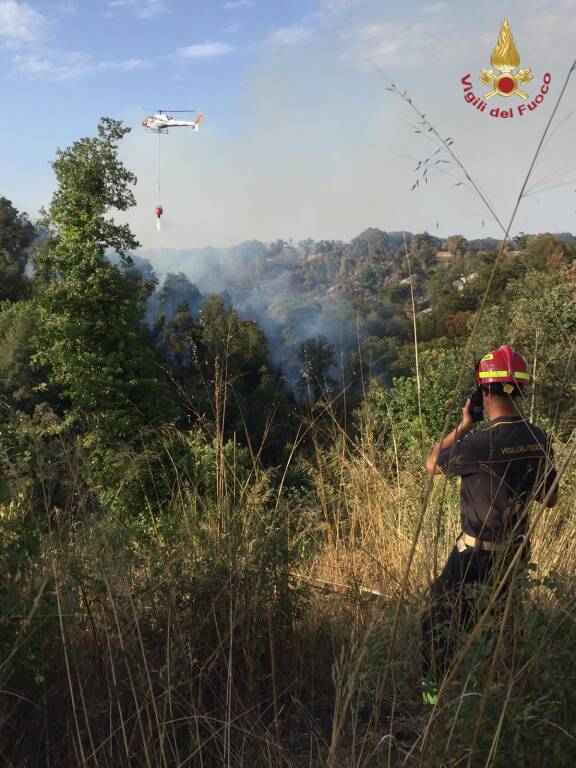 Incendio a Cerveteri: in fiamme 7 ettari di bosco e macchia mediterranea