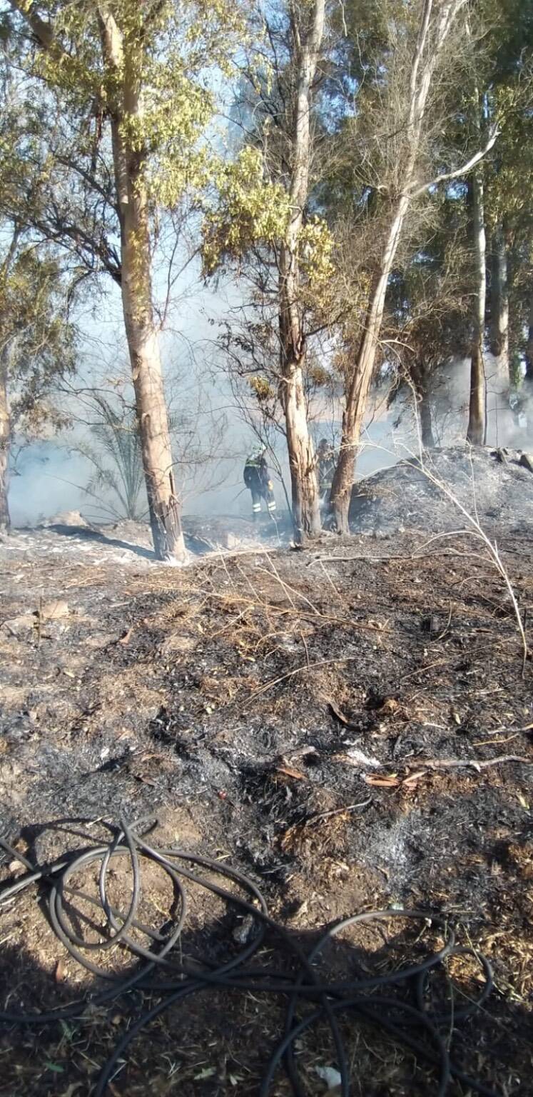 Incendio a Maccarese, in fiamme il sottobosco
