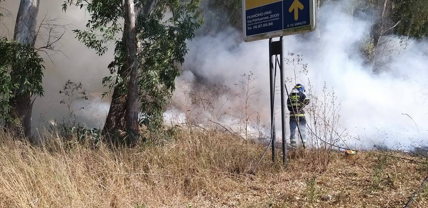Incendio a Maccarese, in fiamme il sottobosco