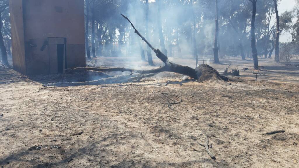 Incendio a Torvaianica, le fiamme minacciano le abitazioni: in fumo 5 ettari di pineta