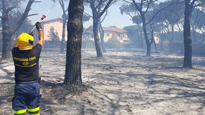 Incendio a Torvaianica, le fiamme minacciano le abitazioni: in fumo 5 ettari di pineta