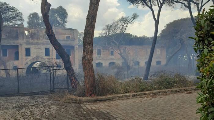 Incendio a Torvaianica, le fiamme minacciano le abitazioni: in fumo 5 ettari di pineta