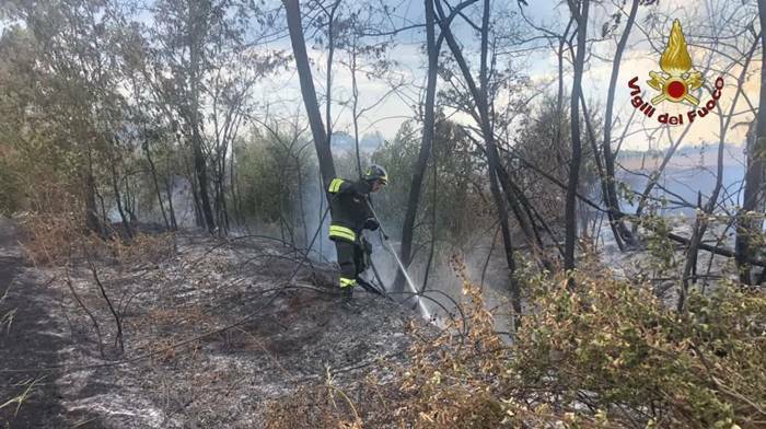 Incendio a Pomezia, salvata dai Vigili del Fuoco una donna dispersa a causa del fumo