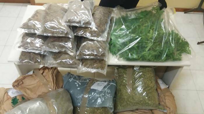 Lavinio, scoperta maxi serra di cannabis indiana in un capannone: due arresti