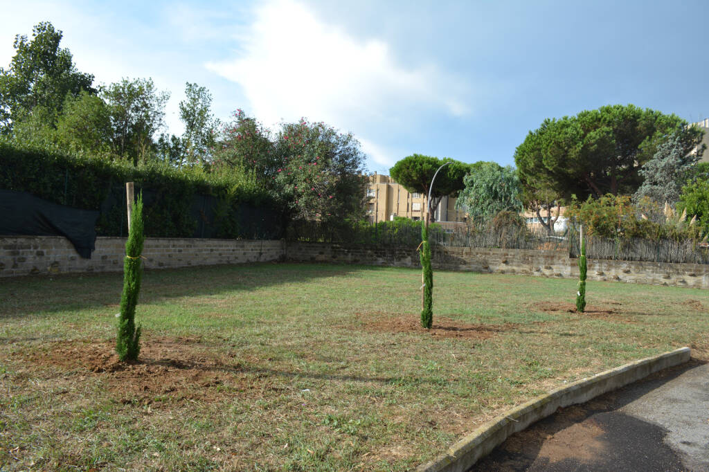 Studenti del Liceo Pascal donano 3 alberi al Comune di Pomezia