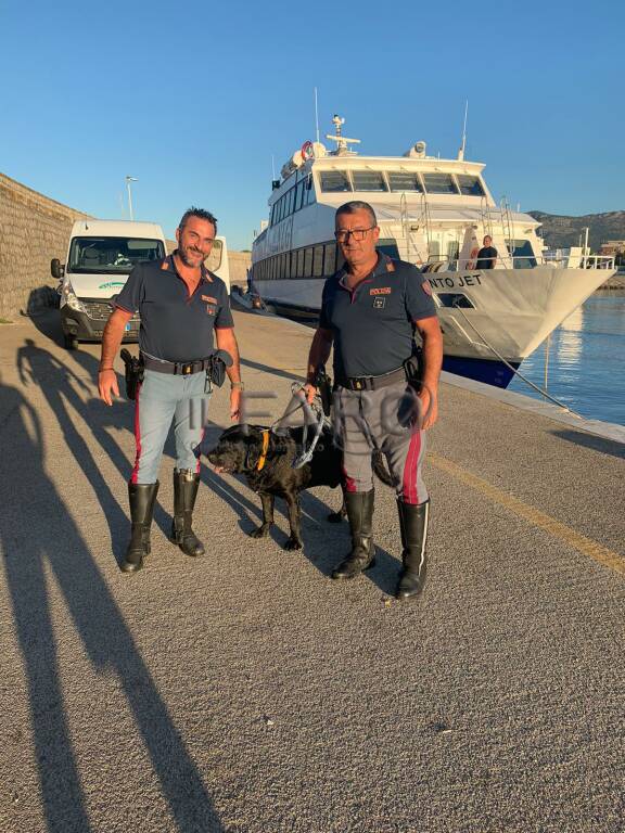 Terracina, la Polizia stradale salva un cane che rischia di annegare
