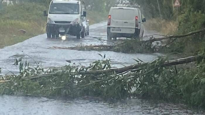 Bomba d’acqua su Ardea, strade allagate e alberi caduti: traffico in tilt