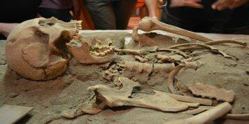 Pomezia, uno scheletro umano del periodo tardo antico al Museo Lavinium