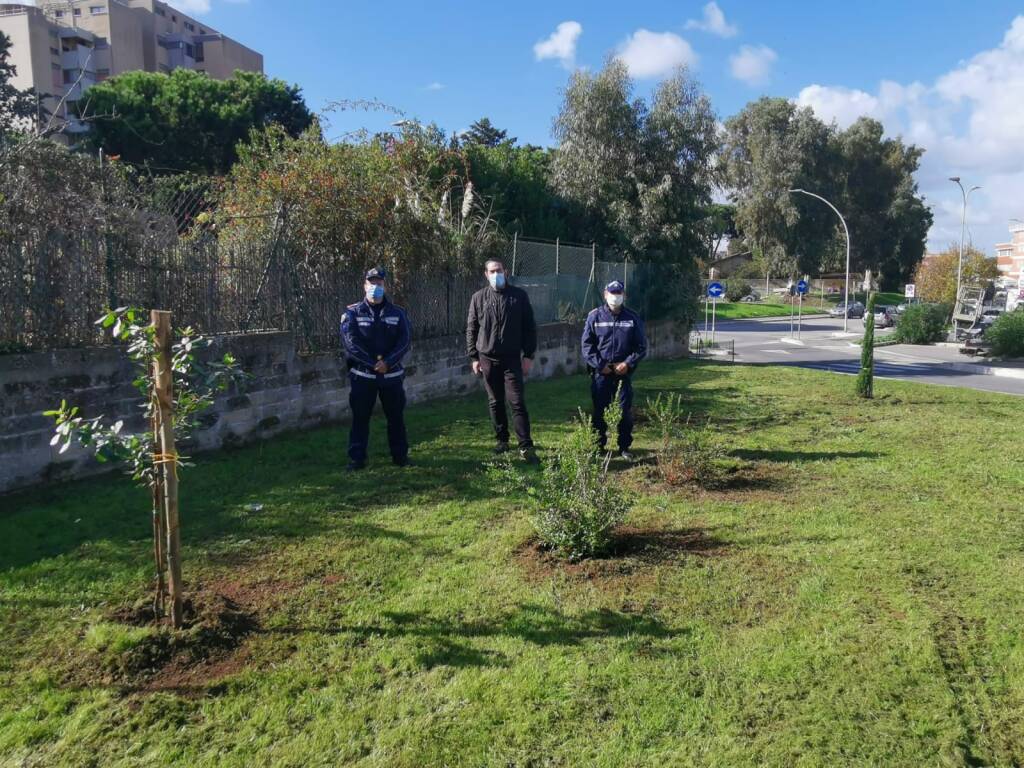 Pomezia, la Polizia locale dona 6 nuovi alberi e arbusti alla Città