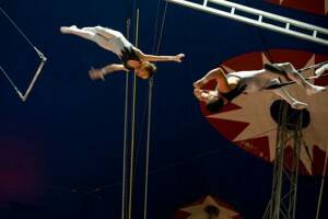 Latina ospita la 21esima edizione dell’”International Circus Festival of Italy”