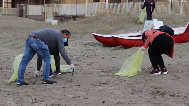 Pomezia, i volontari di Care the Oceans in azione per la pulizia della spiaggia