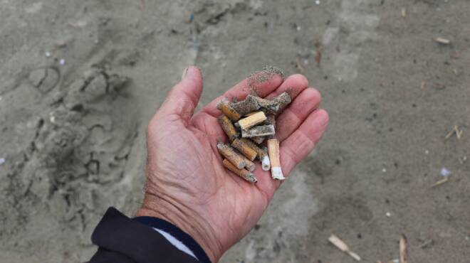 Ardea, domenica 3 ottobre la pulizia della spiaggia al Fosso dell’Incastro: i dettagli