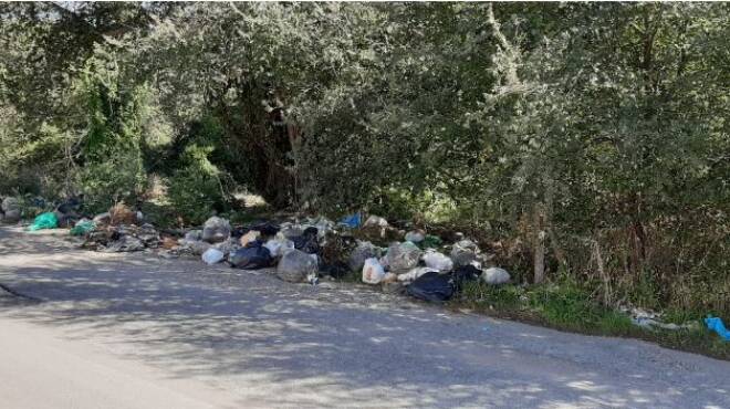 Ardea, distesa di rifiuti abbandonati lungo via Lecce: la denuncia di un cittadino