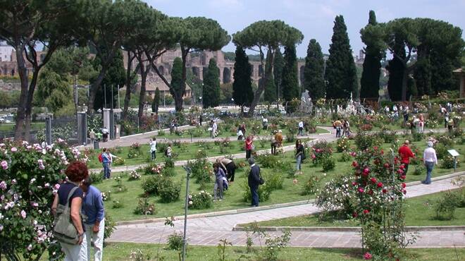 Roma, sbocciano i fiori del Roseto comunale: ecco come e quando visitarlo